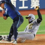 阪神の助っ人ガルシアさん、7打数0安打