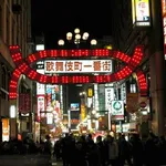 【衝撃】半グレさん、歌舞伎町の人混みの中で拉致成功・・・・・・・・・