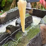 【画像】お前らこのタイプの流しそうめん食える？？