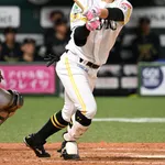 【ソフトバンク】山本恵大が右肘手術　今季３本塁打も来季復帰目指す