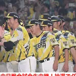 阪神タイガース、得失点差+58で貯金12