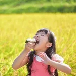 【悲報】米農家さん「もう無理です…」過去最大の在庫を抱えたまま新米収穫、価格安すぎて赤字・・・・・・・・・