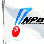 【速報】NPB、審判員を募集wwwwwwww