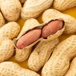 【朗報】「うんこ移植」でピーナツアレルギー改善、15人中6人が数粒食べられるようになるｗｗｗｗｗｗｗｗｗｗ