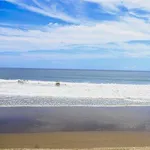 【悲報】海水浴中の20代水着ギャルさん3人、流され1人死亡・1人重体・・・・・・・・・