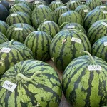 【悲報】ケニアのスイカ、ガチで薄過ぎるｗｗｗｗｗｗｗｗｗｗ