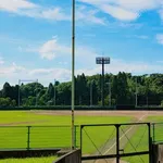 【悲報】プロ野球のレフト、打撃に自信があると思われる守備下手クソな奴が使われまくり