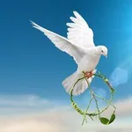 【悲報】二度と戦争をしてはいけないし、戦争ができる国になってはいけない・・・・・・・・・