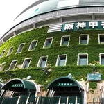 高校野球でミスして負けたらそれを一生引きずる事になるって残酷すぎるよな