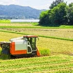 【悲報】米農家さん「石破茂さんと小泉進次郎さんのせいで大赤字、従業員の給料は僕の貯金を切り崩して払ってる」・・・・・・・・・