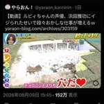 【悲報】こういう輩がテレビをつまらなくしたんだな・・・・・・・・・