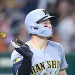 佐藤輝明がホームランを直撃させた看板wwwwwwwwwwww