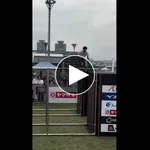 【悲報】オスガキさん、パルクール失敗😭・・・・・・・・・