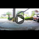 【爆笑】女さん、駐車ラインにピッタリ収めるwwwwwwwwww