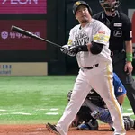  【朗報】山川穂高さん、今オフ争奪戦へｗｗｗｗｗｗｗｗｗｗｗ