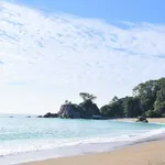 【悲劇】高知の海で流された母を助けに行った息子さんが死亡・・・・・・・・・