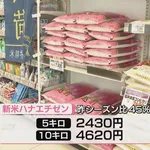 【悲報】米農家、激怒。JA買い取り価格が60kg17000円（去年29000円）。「赤字だ。やってられない」