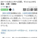 【衝撃】川崎市で22mの蛇が脱走ｗｗｗｗｗｗｗｗｗｗ