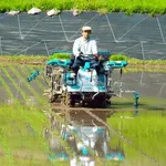 【悲報】米農家さん、JA買い取り価格60kg1万7000円に激怒「赤字だ、やってられない」・・・・・・・・・