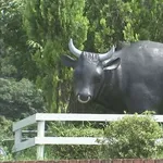 安愚楽牧場・被害者「せめて元本だけでも国は補償を!」→国が敗訴、賠償命令4億円