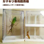 【悲報】カマキリさん飼育が大変で草ｗｗｗｗｗｗｗｗｗｗ