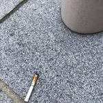 【悲報】タバコポイ捨て爺さんをXに晒した奴が告訴されたらしいが・・・・・・・・・