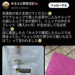 【悲報】男性「水草をリュックに入れたら水漏れしてタブレット損壊。これは私が悪いのですか？」・・・・・・・・・
