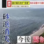 日本人海水浴客、ピーク時の3790万人から9割以上減少😨