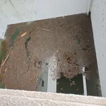 【悲報】千葉市、浸水により放射性廃液が漏洩してしまう