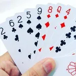 【悲報】いいこと言う人「配られたカードで勝負するしかないのさ」ワイ「はえ~」wwwwwwwwww