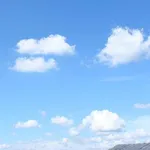 【朗報】「これ、無限に見ていられるわ」ってなるものｗｗｗｗｗｗｗｗｗｗ