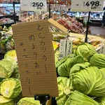 【悲報】この夏のキャベツさん、値段が限界突破wwwwwwwwww