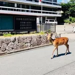 【正論】検察「山上くんさ、不遇な生い立ちでもみんな静かに暮らしてるよ？」・・・・・・・・・