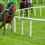 【爆笑】おまえらが3秒で考えた競走馬の名前ｗｗｗｗｗｗｗｗｗｗ