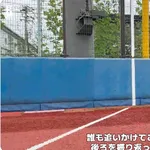 DeNA尾形崇斗がポール間ダッシュで戦っていた相手www