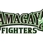 【阪神vs日本ハム2軍 交流戦3回戦】スタメン・打順速報｜試合実況｜9/3 13:00開始