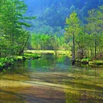 【困惑】長野県とかいう謎に旅行するやつが多い県ｗｗｗｗｗｗｗｗｗｗ